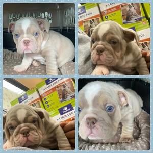 Meet your Posher, Antwan